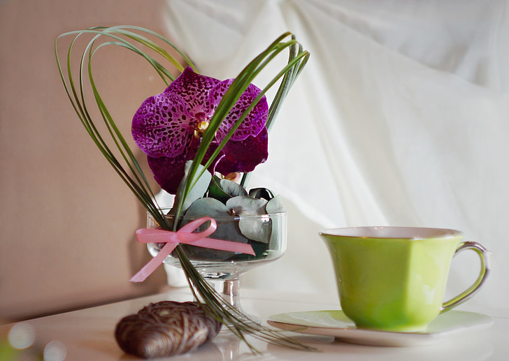 Dekoration, Orchidea, Tasse, Blume, Retro