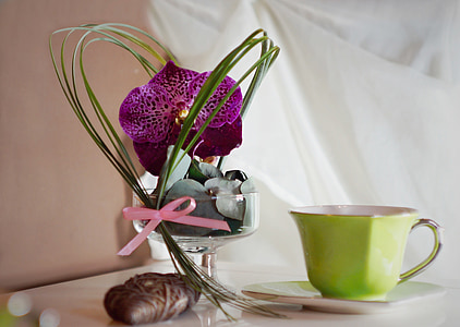 decoració, Orchidea, Copa, flor, retro