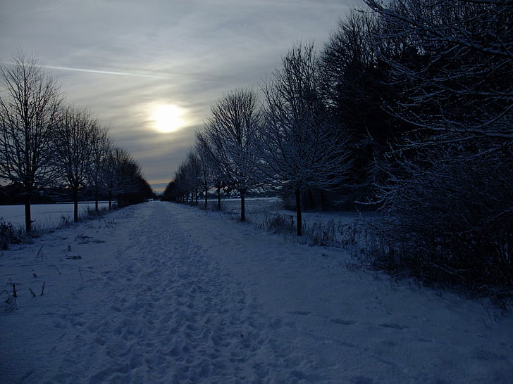 snijeg, studen, Sigurnosno svjetlo, mistično, tmurno, abendstimmung, Zima
