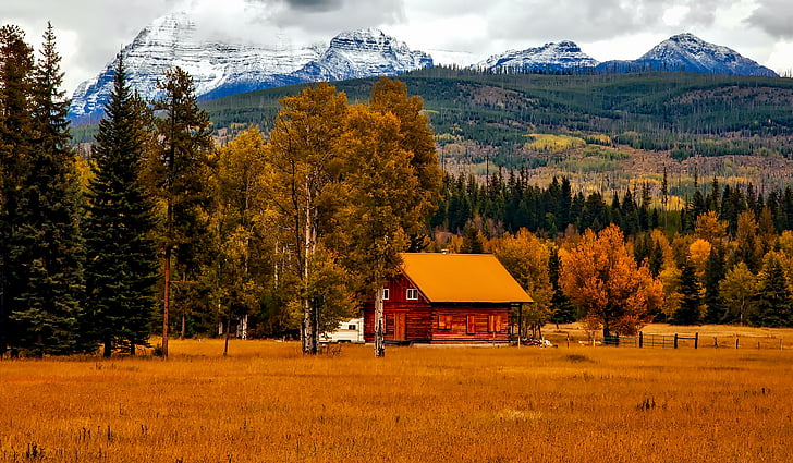 herfst, schuur, Colorado, kleurrijke, Cottage, land, platteland
