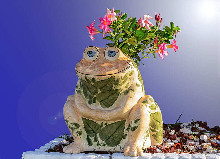 toad, porcelain, planter, flowers, garden