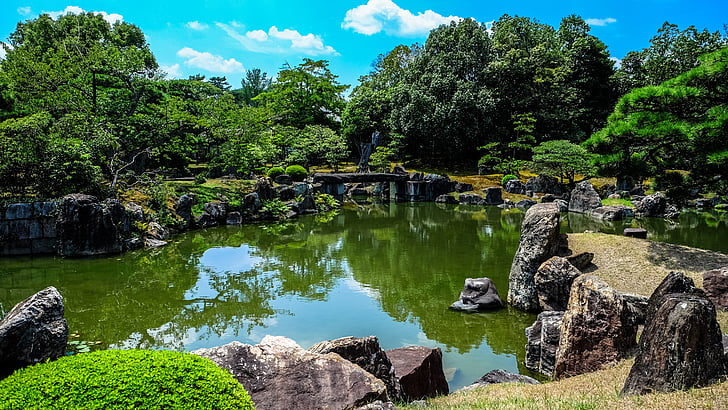 blå himmel, hage, grønn, Japan, japansk, Dam, refleksjon