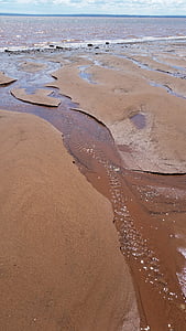 모래, 진흙, 비치, 물, 갈색