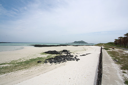 non-transferability, jeju, sea, tourism, island, jeju island, beach