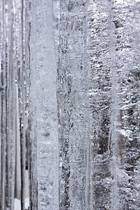 es, es, dingin, musim dingin, putih, embun beku, salju