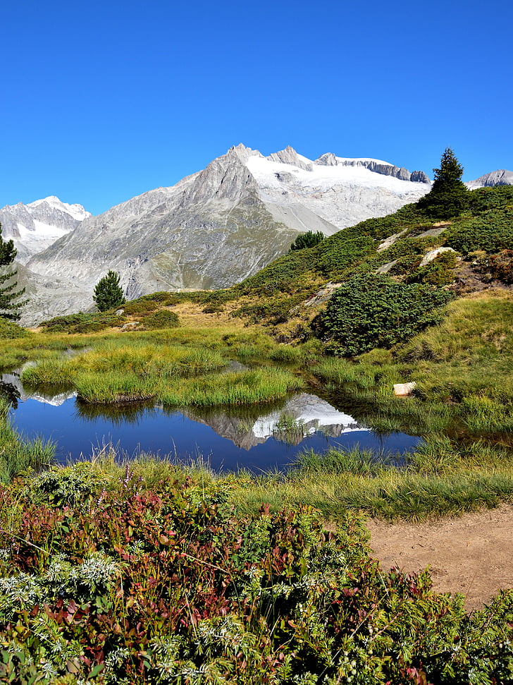 mägi, tiik, maastik, peegeldamine, Šveits, loodus