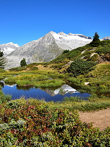 山, 池塘, 景观, 镜像, 瑞士, 自然