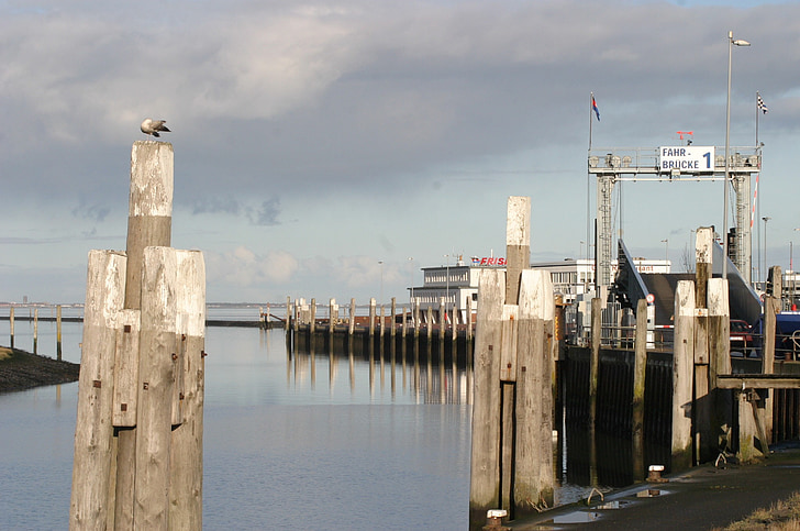 Norderney, přístav, Dřevěná prkna, zrcadlení, Fährbrücke, voda