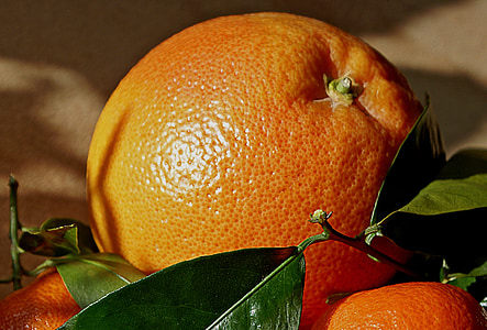 mandarins, oranges, fruit, nature, orange, porosity, the stem