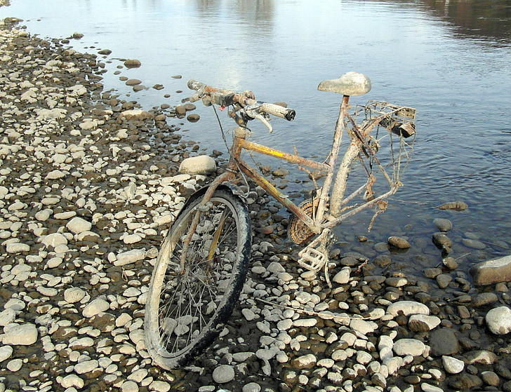 flotsam and jetsam, bike, old, rusty, flotsam, rhine, pebble