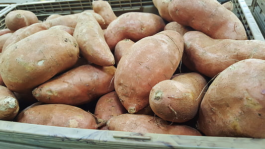 сладки картофи, картофи, храна, хранителни стоки, клубен, корен зеленчуци, реколта