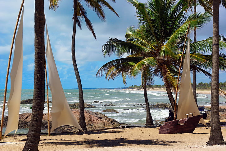 Pernambuco, Salvador de Bahía, Playa, paisaje, árboles de coco, Playa de arena, viajes