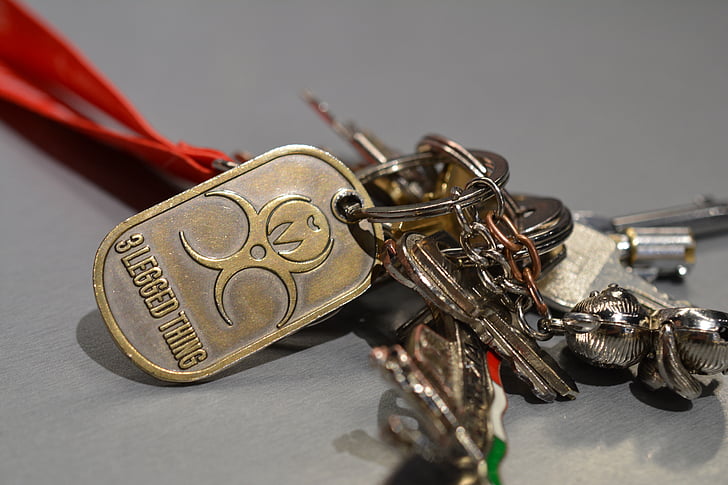 Key ring, phím, bó, nhẫn, an ninh, khóa, mở khóa