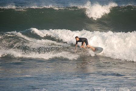 surfer, more, val, sportski, oceana, plaža, vanjski