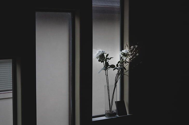 arquitetura, preto e branco, florescendo, escuro, porta, família, Flora