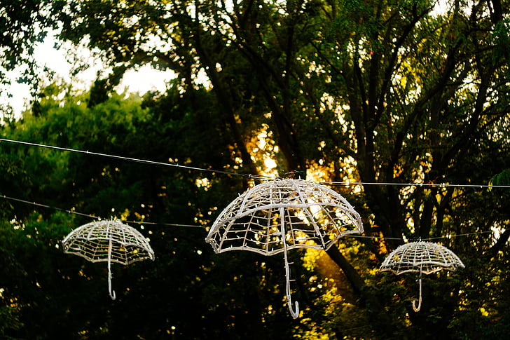 umbrellas, light chain, decoration, garden, evening, sunset, trees