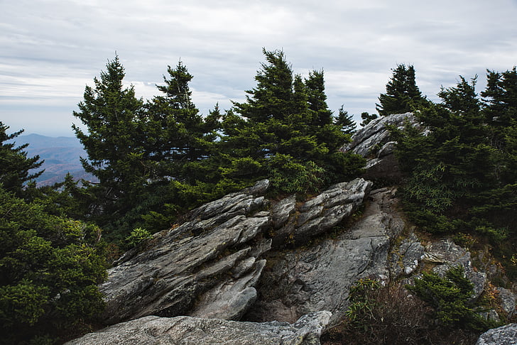 Rock, Hill, Ridge, Peak, træer, plante, natur