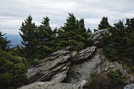 kaya, Hill, Ridge, en yüksek, ağaçlar, bitki, doğa