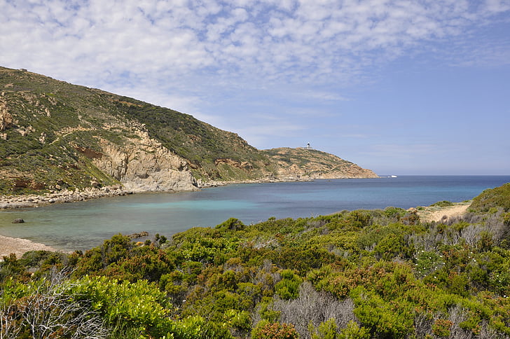 Korsikas, Francija, jūra, daba, brīvdiena, Calvi, pludmale