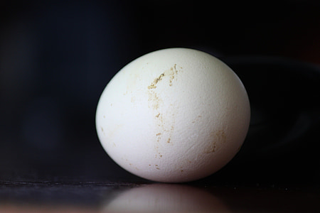 яйцо, куриные яйца, Белый, -диапазон куриных яиц