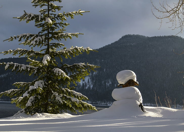 hiver, paysage, Canim lake, Colombie-Britannique, Canada, neige, météo