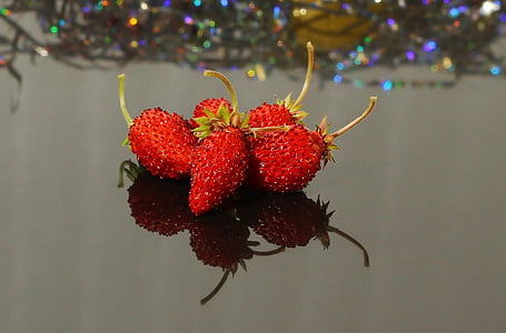 wild strawberry, berry, the strawberries