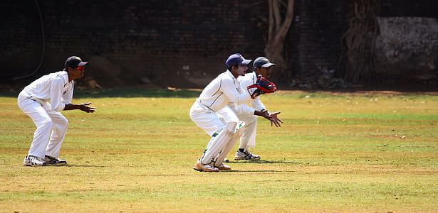 cricket, wicket, Giữ, thực hành, trò chơi bóng, Ấn Độ, cạnh tranh