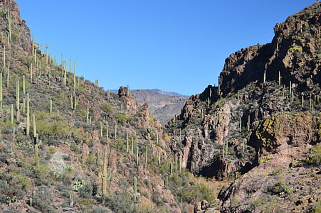 Arizona, Kaktuss, tuksnesis, ainava, daba, Dienvidrietumi, kalns