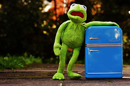 Kermit, sapo, frigorífico, engraçado, retrô, verde, brinquedos