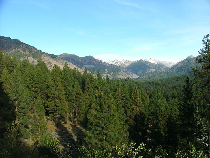 montanha, gama, modo de exibição, cênica, floresta, Idaho, dente de serra