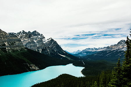 peyto ezers, peyto, ezers, Alberta, Kanāda, ainava, daba