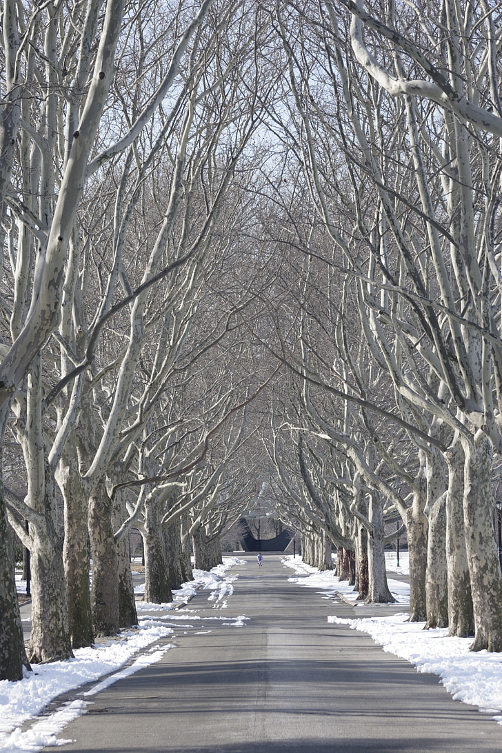 von Bäumen gesäumten, Flushing Meadow park, Schnee, New York city, Königinnen