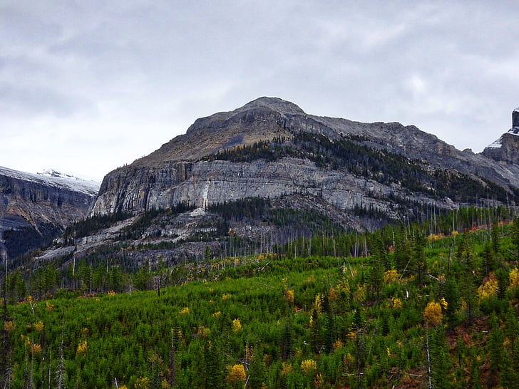 automne, montagnes, Forest, montagnes Rocheuses, Canada, paysage, Scenic