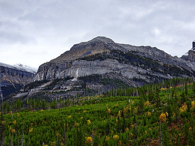 jesień, góry, lasu, Rockies, Kanada, krajobraz, sceniczny