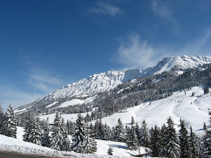 Gary panjang, Alpine, Allgäu, Gunung, Bad hindelang, puncak, Hiking