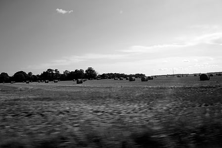 in bianco e nero, sfocatura, campo di grano, azienda agricola, campo, fieno, Hayfield