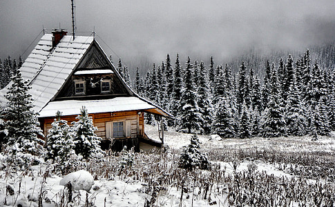 invierno, cabina, Casa, montaña, nieve, frío, temporada