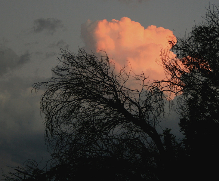 chmury, gęste, runda, zachód słońca, pomarańczowo różowy, jasne, blask