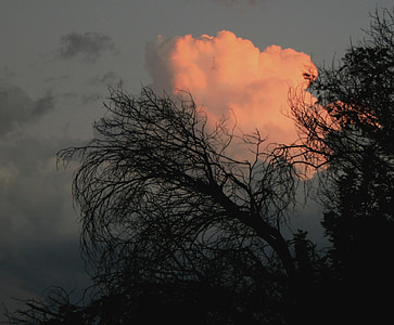 nuvens, densa, rodada, pôr do sol, laranja-de-rosa, brilhante, brilho
