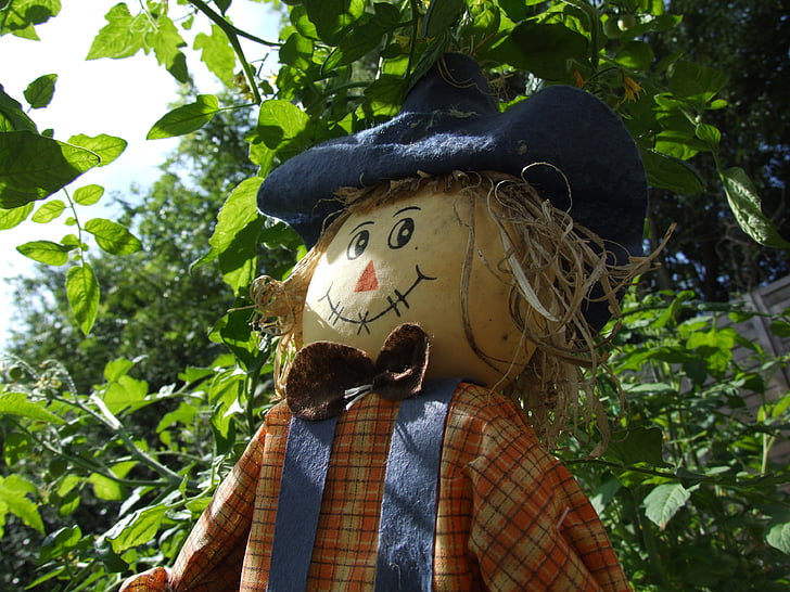 scarecrow, garden, farm, nature, agriculture, rural, field