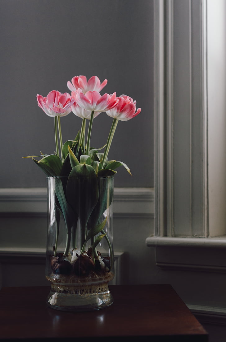 glass, flower, vase, table, display, interior, bouquet