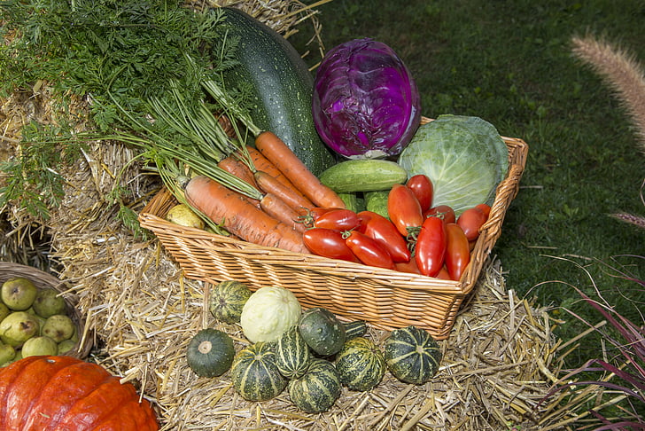Thanksgiving, frukt, festivalen, grønnsaker, høst, landbruk, Harvest