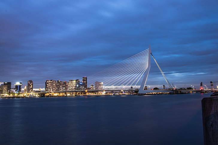 Rotterdam, elmélkedés, kikötő, éjszaka, víz, Hollandia, építészet