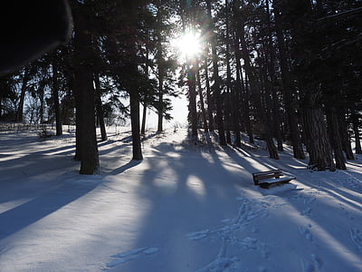 salju lanskap, musim dingin, matahari, bayangan, salju, dingin, snowfield