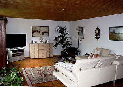 Sala de estar, aconchegante, relaxamento, teto de madeira, piso em parquet, móveis, planta