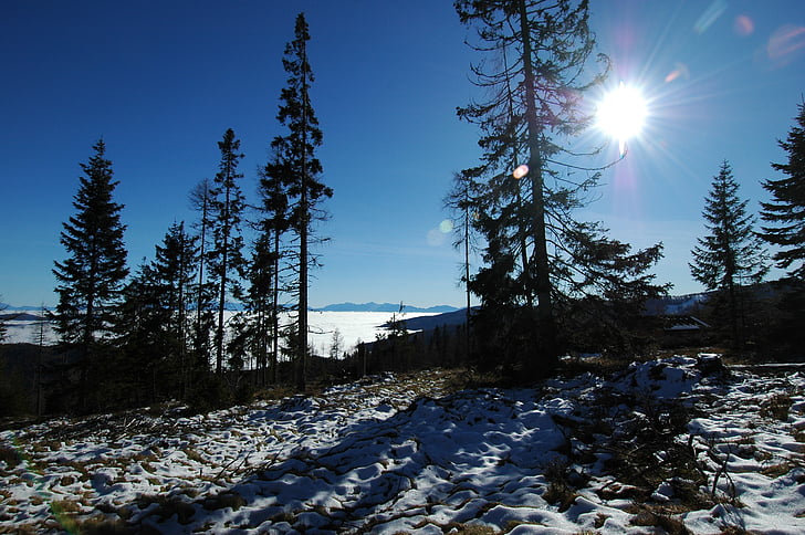 Zimní, sníh, krajina