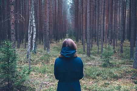 person, forest, outdoor, standing, back, looking, wood