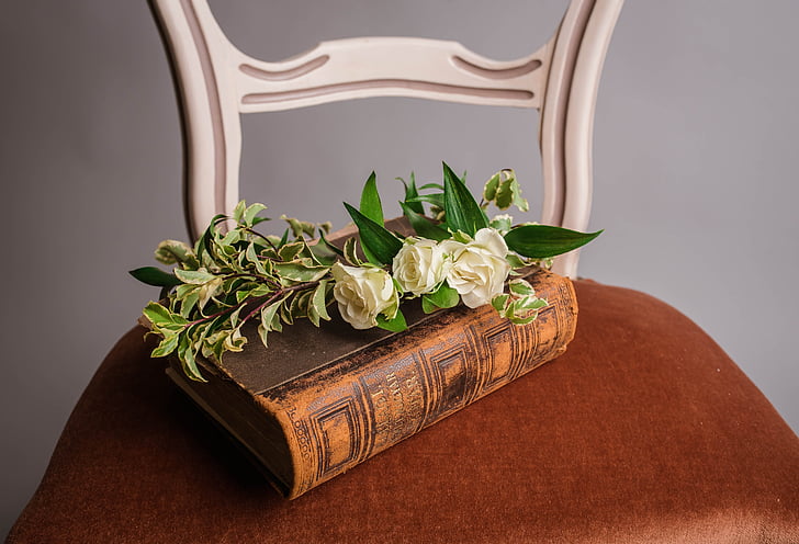 kėdė, gėlė, knyga, Šventasis Raštas
