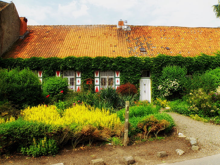 Borsbeek, Nederland, huis, Home, Cottage, zomer, bloemen