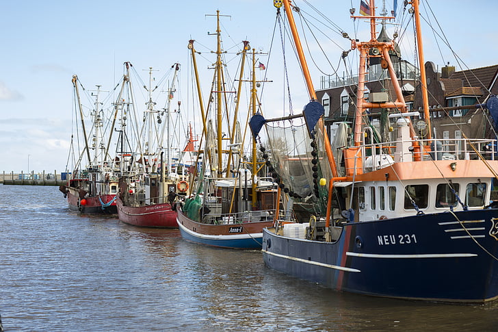 Fischer, tallador, Portuària, Mar, vaixell, vaixell de pesca, l'aigua